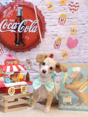 20230926ちくわくん